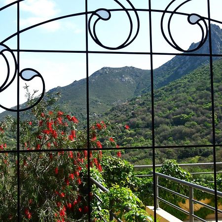 Cas'Anna Lidia - Hotel De Charme Feliceto Dış mekan fotoğraf