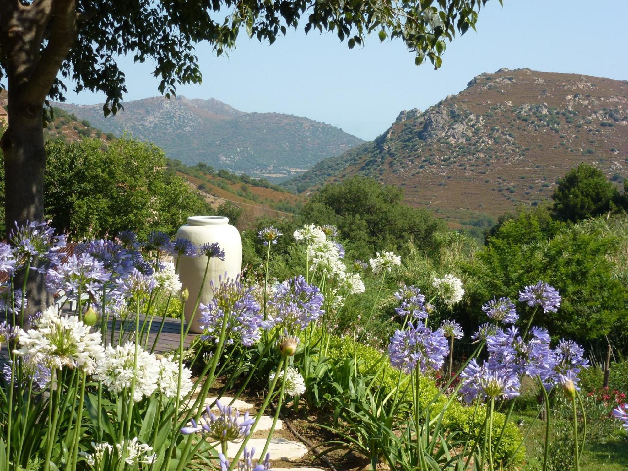Cas'Anna Lidia - Hotel De Charme Feliceto Dış mekan fotoğraf