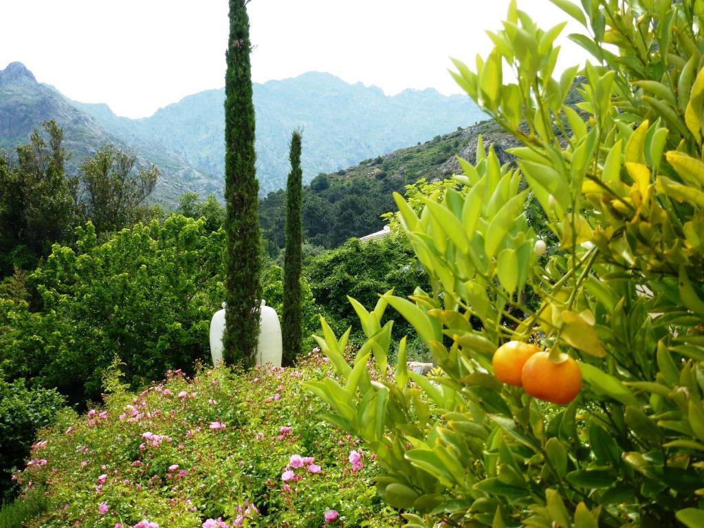 Cas'Anna Lidia - Hotel De Charme Feliceto Dış mekan fotoğraf