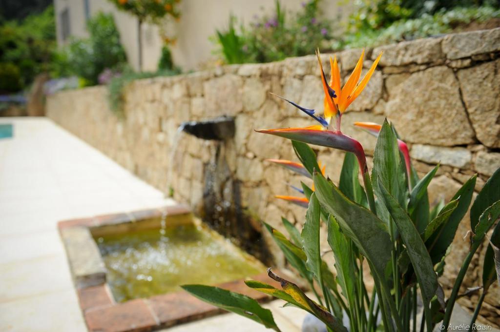 Cas'Anna Lidia - Hotel De Charme Feliceto Dış mekan fotoğraf